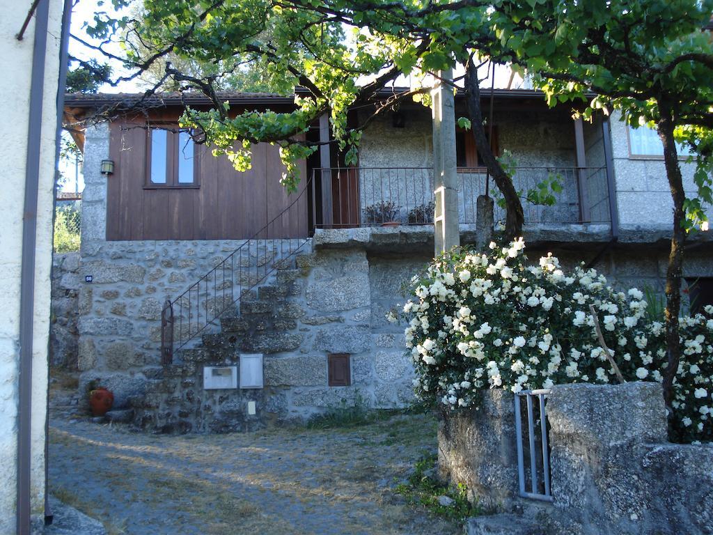 Vila Casa Do Faroca Vieira do Minho Exteriér fotografie