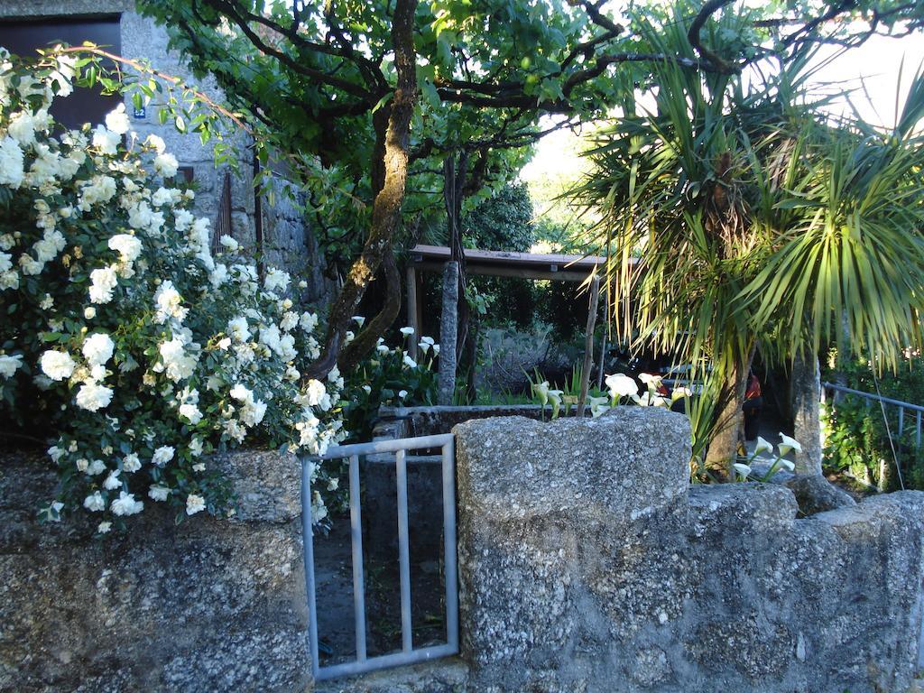 Vila Casa Do Faroca Vieira do Minho Exteriér fotografie